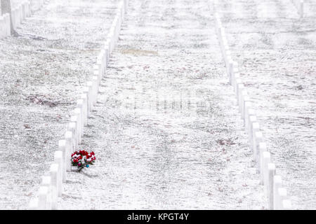 Caduta di neve fresca sulle tombe di Al Cimitero Nazionale di Arlington. Foto Stock