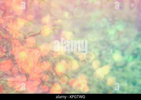 Con uno sfondo bokeh di luce e Abete rami. Foto Stock