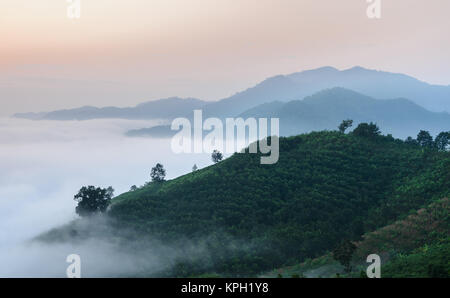 Sunrise con il mare di nebbia al di sopra del fiume Mekong in Nong Khai Provincia, Thailandia Foto Stock