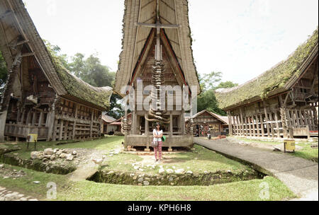 Kete Kesu Village di Tana Toraja. Kete Kesu Village è parte di una cultura programma di conservazione e noto come una zona di produzione di classe mondiale carving. Foto Stock