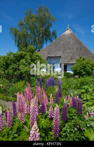 Parrocchia vedove casa con giardino fiorito, Gross Zicker, Ruegen isola, Meclemburgo-Pomerania, Mar Baltico, Germania, Europa Foto Stock