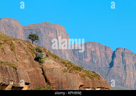 Montagne Drakensberg Foto Stock