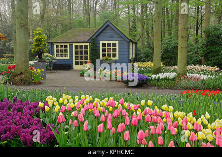 Piccolo cottage negozio di fiori, Giardini Keukenhof Lisse, Paesi Bassi Foto Stock