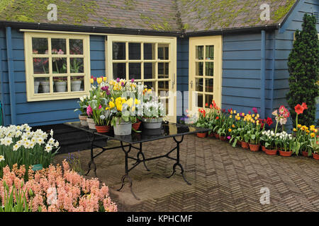 Piccolo cottage negozio di fiori, Giardini Keukenhof Lisse, Paesi Bassi Foto Stock