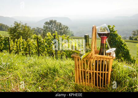 Cestello con bottiglie e bicchiere di vino nei vigneti Foto Stock