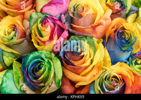 Mazzo di rose multicolori come sfondo floreale Foto Stock