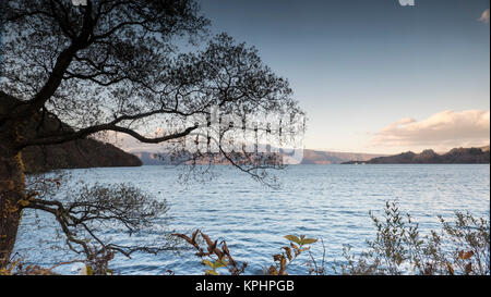 Bella la vista di una gita crociera in barca sul Lago di autunno Towadako in Towada Hachimantai Parco Nazionale Foto Stock