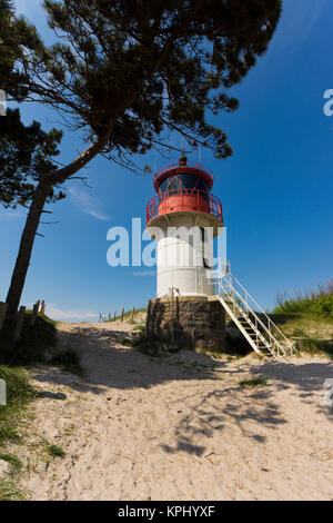 Sonnenaufgang über dem Meer,Blick Richtung Bodden,warmes Licht über dem Meer, erstes Licht am Tage,Mohnblüten Foto Stock