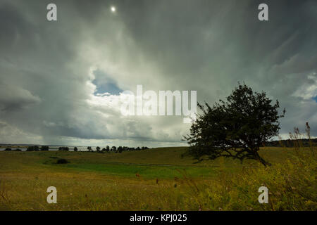 Sonnenaufgang über dem Meer,Blick Richtung Bodden,warmes Licht über dem Meer, erstes Licht am Tage,Mohnblüten Foto Stock