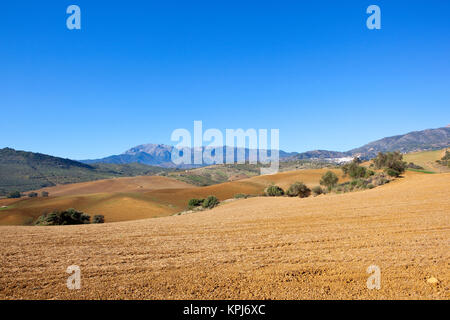 Ondulati campi arati con paesaggio di montagna e oliveti in Andalusia Spagna sotto un cielo blu chiaro Foto Stock