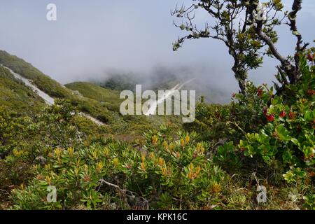 La vista dalla cima del vulcano Baru, Panama a valle con il bianco di nebbia in distanza. Foto Stock