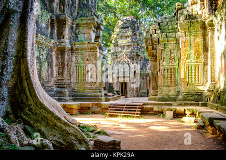 Le belle rovine dei templi di Ta Prohm Foto Stock