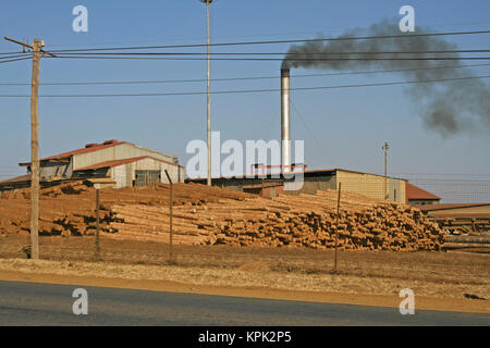 Legname Legname in fabbrica, Regno dello Swaziland. Foto Stock