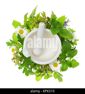 Porcellana Bianca mortaio e pestello con erbe fresche intorno ad esso Foto Stock