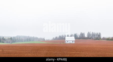 Un piccolo edificio bianco su un campo di fattoria nella nebbia; Prince Edward Island, Canada Foto Stock