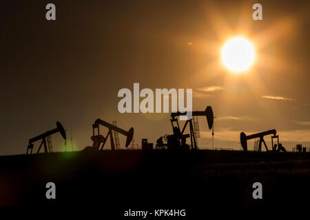 Silhouette di numerose pumpjacks in un campo con un incandescente sole al tramonto sulle praterie Alberta, a ovest di Airdrie; Alberta, Canada Foto Stock