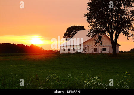 Un American Midwestern fienile custodito da alberi di quercia siede comodamente mentre i suns imposta oltre la primavera campo di mais e fiori selvatici Foto Stock