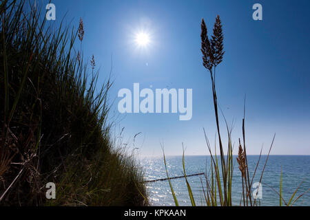 Ostsee im Sommer mit Sonne im Gegenlicht und Reflexionen,Untergehende Sonne bestrahlt Äste und Steine im Meerwasser Foto Stock