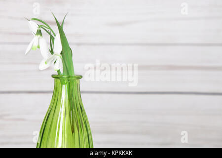 dones in un vaso verde di fronte a una parete in legno in shabby chic Foto Stock