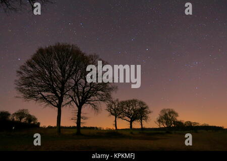 Il cielo di notte in Dicembre da Hampshire Inghilterra Foto Stock