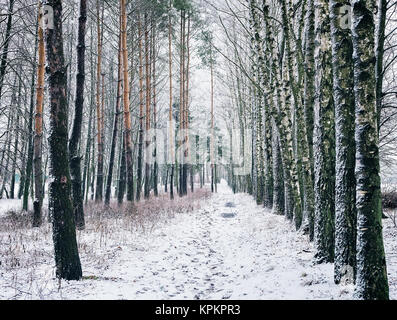 Paesaggio invernale Foto Stock