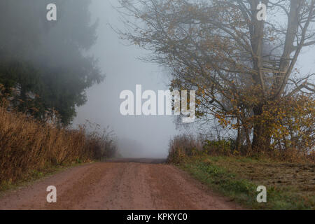 Sentiero escursionistico nella nebbia paesaggio di resina Foto Stock