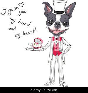 Vector fashion elegante groom cane Boston Terrier Foto Stock