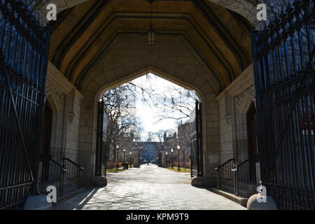 Cobb Gate fornisce la voce al UChicago quad ed è tradizione per i nuovi studenti passano attraverso di essa nel corso di orientamento come iniziano la loro carriera dello studente Foto Stock