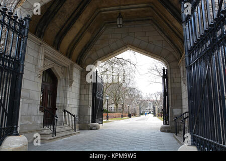 Cobb Gate fornisce la voce al UChicago quad ed è tradizione per i nuovi studenti passano attraverso di essa nel corso di orientamento come iniziano la loro carriera dello studente Foto Stock