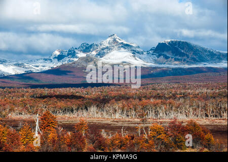 Autunno in Patagonia. Cordillera Darwin, parte della gamma delle Ande, Tierra del Fuego, Argentina Foto Stock