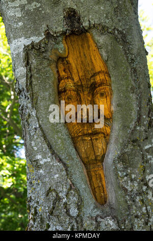 Faccia scolpita in un tronco di albero Foto Stock