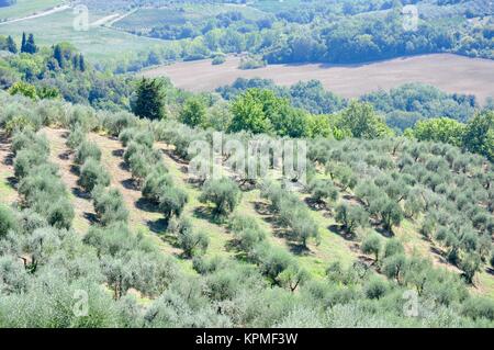 Paesaggio in toscana Foto Stock