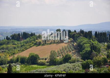 colline in toscana Foto Stock