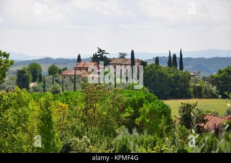 colline in toscana Foto Stock