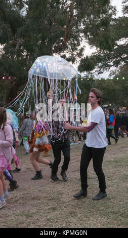 2017 Meredith Music Festival che si tiene a Meredith, Australia ogni anno. Foto Stock