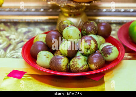 Bangkok, Tailandia. Monkey mele (Annona glabra), re delle scimmie Santuario, Chinatown. Foto Stock