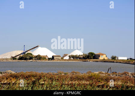 Funzionamento del sito mare Salina sale Aigues-Mortes Foto Stock