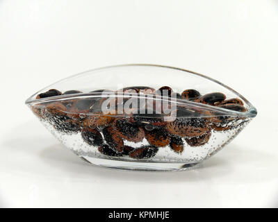 Immergere i fagioli in acqua coleotteri Foto Stock