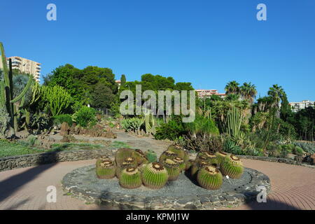 Paloma park in benalmadena,andalusia Foto Stock