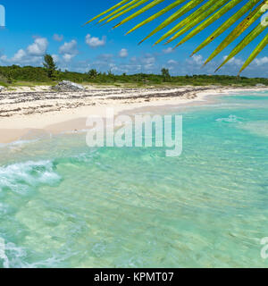 Wild spiaggia sabbiosa tropicale con acque turchesi. Mar dei Caraibi scenario in Playa del Carmen, Yucatan, Messico. Foto Stock