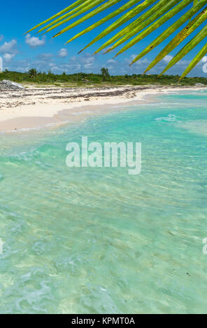 Wild spiaggia sabbiosa tropicale con acque turchesi. Mar dei Caraibi scenario in Playa del Carmen, Yucatan, Messico. Foto Stock