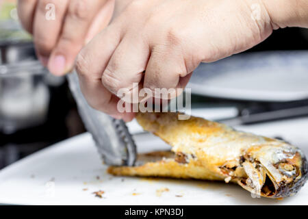 Sgombro fritto Foto Stock