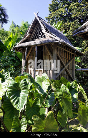 Bamboo House nel parco Anduze bambù Foto Stock