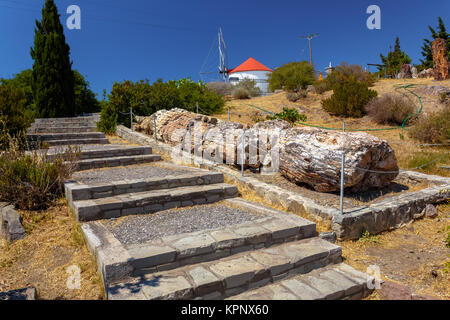 Un colorato fossilizzato tronco di albero dal geoparco UNESCO "Foresta pietrificata di Sigri' sull'isola di Lesbo in Grecia. Foto Stock