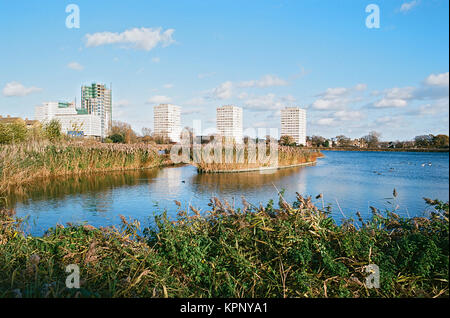 Woodberry Zone Umide Riserva Naturale, Stoke Newington, North London REGNO UNITO Foto Stock