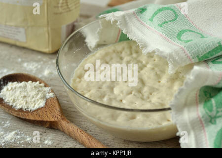 La pasta lievitata in una ciotola (per pizza, pane, pasta madre) Foto Stock