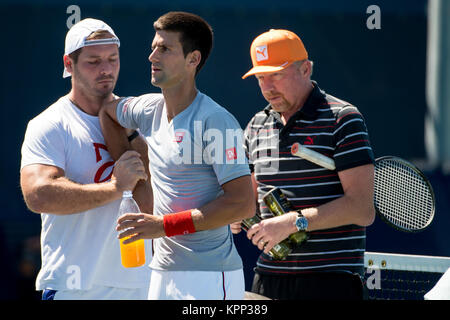 FLUSHING NY- 28 AGOSTO: Boris Becker, Novak Djokovic è avvistata giorno quattro del 2014 US Open al USTA Billie Jean King National Tennis Center il 28 agosto 2014 nel quartiere di lavaggio del Queens borough di New York City. Persone: Boris Becker, Novak Djokovic Foto Stock