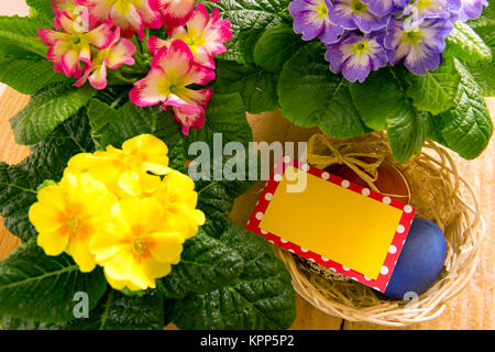 Cestello di colorate uova di Pasqua immerso e card. Felice Pasqua card.Primrose fiori su tavole di legno con la scheda vuota per il testo. Foto Stock