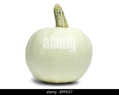 Green squash Foto Stock