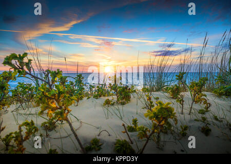 Tramonto su una spiaggia nei pressi di Gammel Skagen Foto Stock